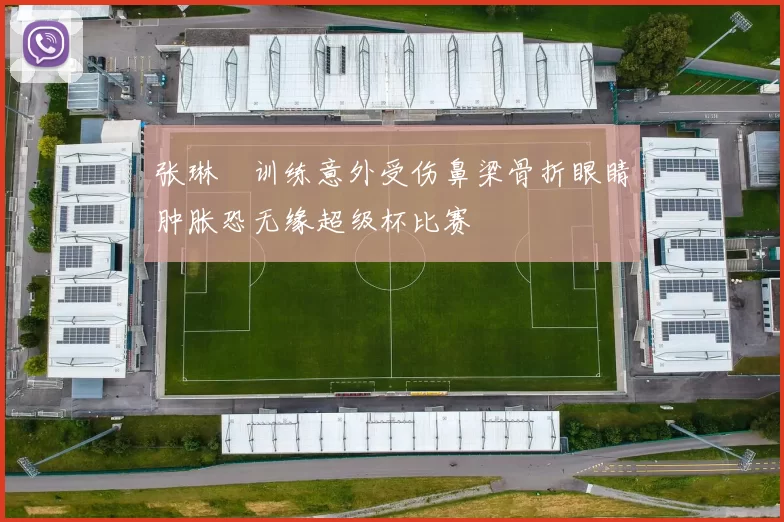 张琳芃训练意外受伤鼻梁骨折眼睛肿胀恐无缘超级杯比赛